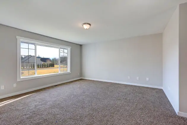 Правила выбора недорого ковролина