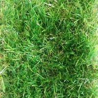 Искусственная трава Deko эконом 35 мм