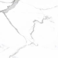 Керамогранит Primavera Salvatore Polished PR107 60x60 см