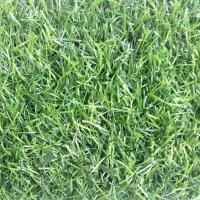 Искусственная трава Eco Green зеленая 20 мм