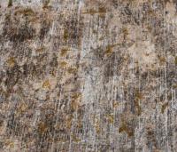 Виниловые обои Bernardo Bartalucci Spazio 84177-5