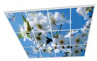 Декоративный подвесной потолок Невал Весна NW3604 1.8x2.4 м