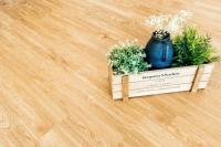 Виниловый пол (кварцвиниловая плитка ПВХ) Alpine Floor Sequoia Секвойя Royal Есо 6-4