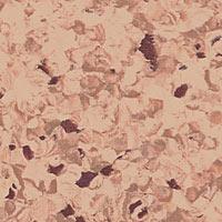 Линолеум коммерческий гомогенный Tarkett Primo Plus Marine 307 (2 м)