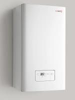Котел газовый настенный Protherm (Протерм) Гепард 23MOV