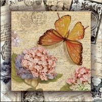 Картина Графис Канвас Постер Бабочка 1