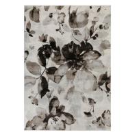 Турецкий ковер Trendy 5637A Cream/Antracite 1,7x1,2 м прямоугольный