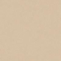 Линолеум гетерогенный коммерческий Таркетт Acczent Pro Aspect 5