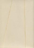 Виниловые обои Marburg Crush Noble Walls 63342