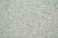 Жидкие обои Silk Plaster Рельеф G-321 (3 кв.м.)