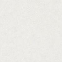 Виниловые обои Marburg Project 31753