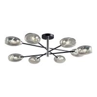 Люстра потолочная Lussole Brantley LSP-8931 40W хром