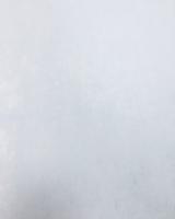 Флизелиновые обои Bernardo Bartalucci Azzurra 5012-2