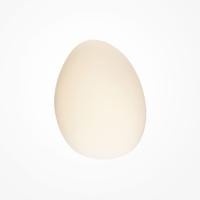 Настенный светильник (бра) Maytoni Roca MOD004WL-L5W3K