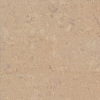 Пробка напольная замковая Wicanders Personality Timide P802002