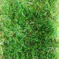 Искусственная трава Тропикана зеленая 35 мм