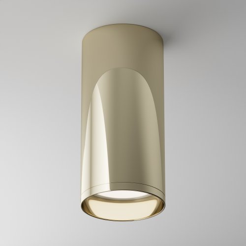 Потолочный светильник Technical Focus C010CL-01G