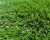 Искусственная трава Topi Grass зеленая 40 мм