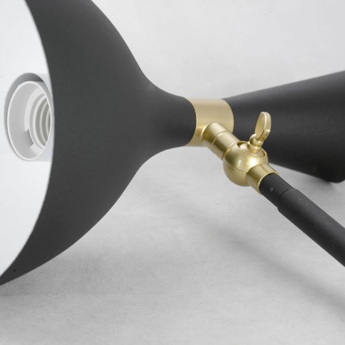 Торшер Lussole Marion LSP-0626 60W черный