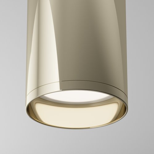 Потолочный светильник Technical Focus C010CL-01G