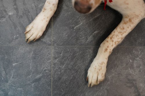 Ламинат Alloc Grand Avenue Stone Хайвей 61 1467