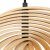 Подвесной светильник Maytoni Roots MOD197PL-01W1 40W черный Подвесной светильник Maytoni Roots MOD197PL-01W1 40W черный