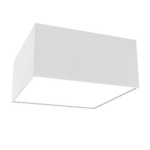 Потолочный светильник Technical Zon C067CL-L12W4K