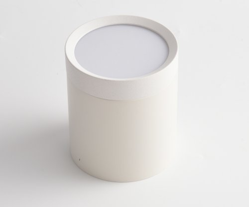 Потолочный светильник Technical Hoop C086CM-GX53-MRD-W