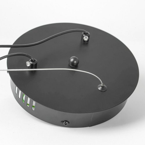 Люстра подвесная Lussole Bradford LSP-7160 20W черный