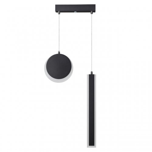 Светильник подвесной Lumion Paxton 5623/25L 25W черный матовый