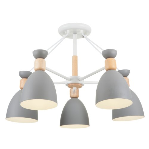 Потолочный светильник Freya Delia FR5033CL-05W