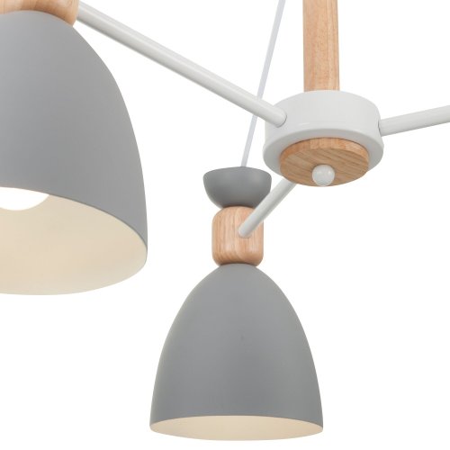 Потолочный светильник Freya Delia FR5033CL-05W