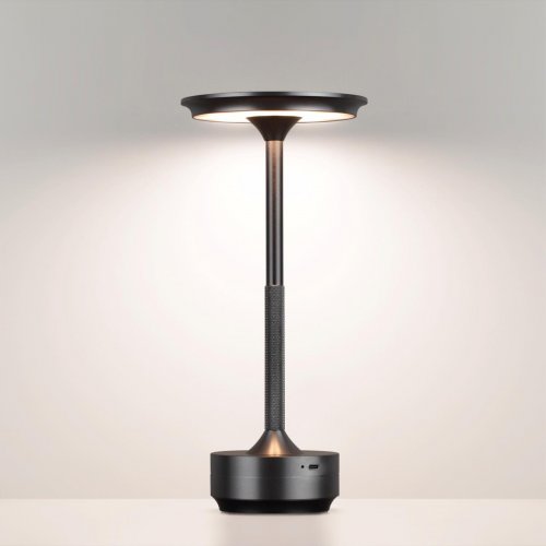 Настольная лампа Odeon Light Tet-A-Tet 5034/6TL LED 6W