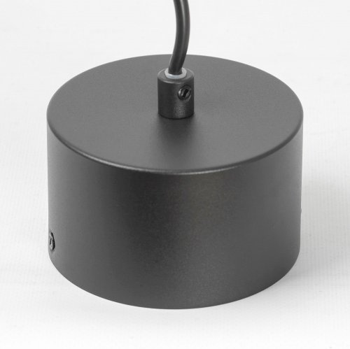 Подвесной светильник Lussole Levy LSP-8917 60W черный