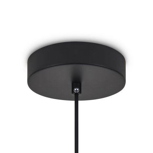 Подвесной светильник Freya Vabi FR6132PL-L15B 13W черный