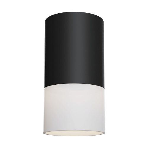 Потолочный светильник Technical Pauline C007CW-01B