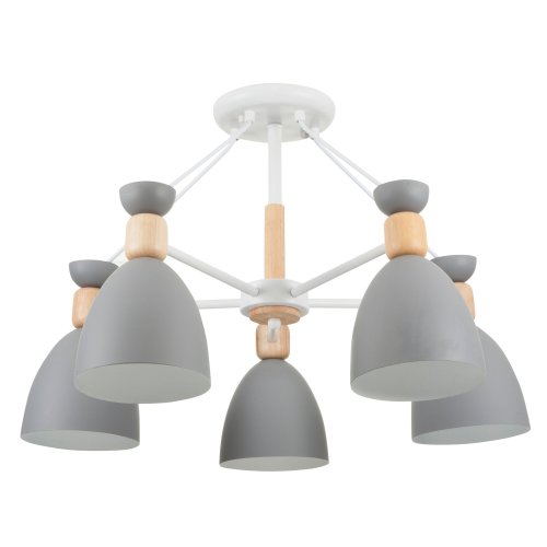 Потолочный светильник Freya Delia FR5033CL-05W