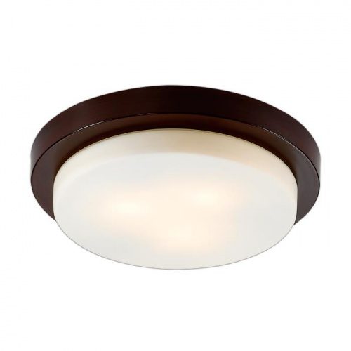 Настенно-потолочный светильник Odeon Light Holger 2744/3C E14 120 Вт