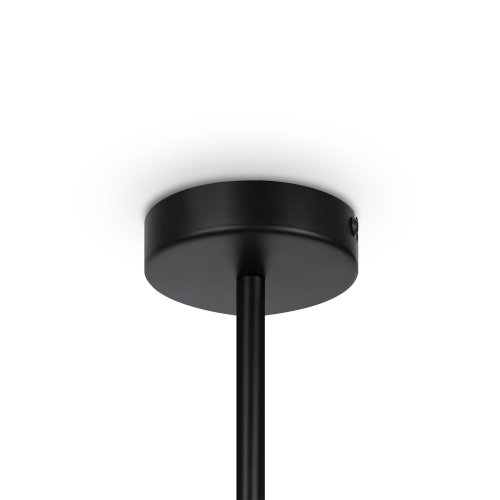 Подвесной светильник Maytoni Memory MOD177PL-04B 40W черный