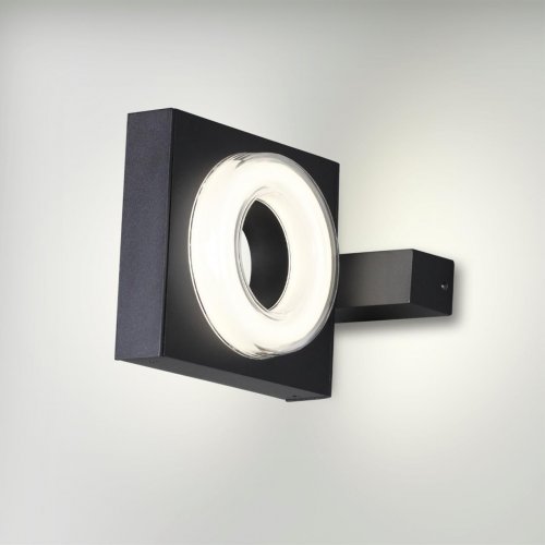 Уличный настенный светильник Odeon Light Vart 6654/5WL LED 5W