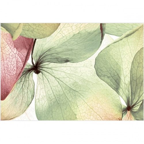 Рефлекс Ультра Декор ВС7РУ105 36,4х24,9