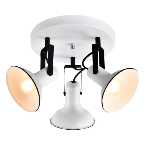 Спотовый светильник Lussole Fargo LSP-8803 40W белый