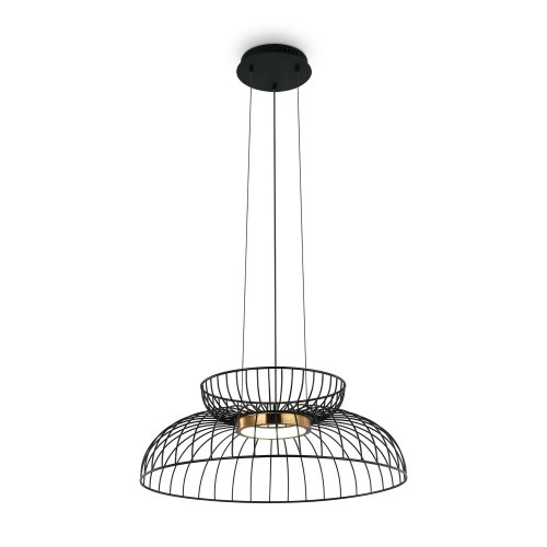Подвесной светильник Freya Citrus FR5398PL-L6B 8W черный