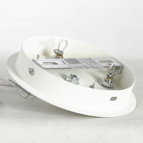 Люстра подвесная Lussole Allen LSP-8716 40W белый