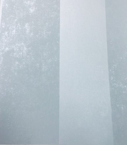 Флизелиновые обои Bernardo Bartalucci Azzurra 5005-4