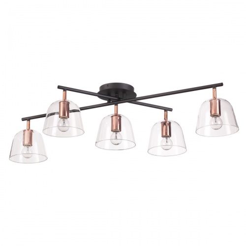 Люстра потолочная Lumion Joseph 4455/5C E14 180 Вт