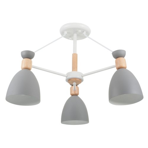Потолочный светильник Freya Delia FR5033CL-03W