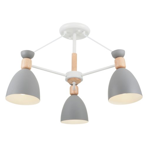 Потолочный светильник Freya Delia FR5033CL-03W
