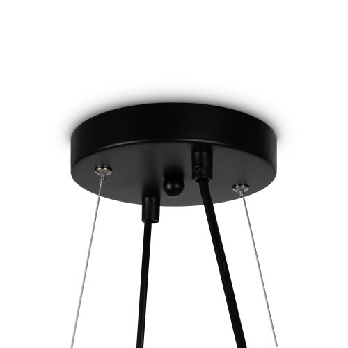 Подвесной светильник Freya Globos FR5222PL-08B 25W черный