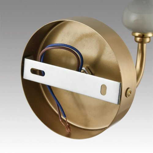 Бра Lumion Anri цвет латунь, мятный, зеленый арт. 6590/1W  1*40W E14